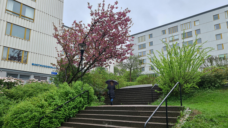 Bild från Brf Masthugget i Göteborg