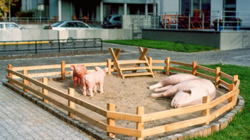 Amalia Årfelt, ”Gårdshund och grisfamilj”, 2003, Hammarby Sjöstad i Stockholm. Foto: Statens konstråd