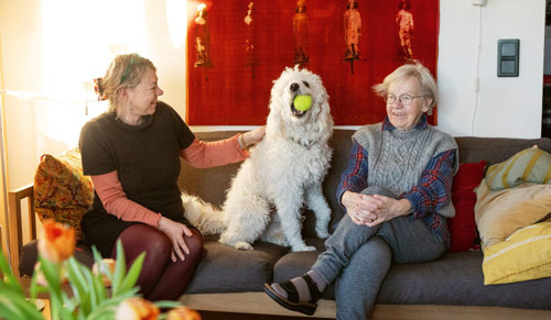 Katja Jahn och hunden Sigge bor inte bara granne med mamma Marja Jahn, i huset bor även hennes exman. ”När vi separerade beslöt vi båda att bo kvar. Det har varit väldigt bra för våra söner”, säger hon. Foto: Andreas Renlund